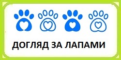 ������ ��� ������� �� ������ � �����