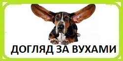 ������ ��� ������� �� ������ � �����